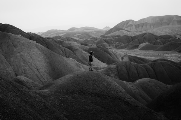 نمونه‌کار داوود هرمزگانی